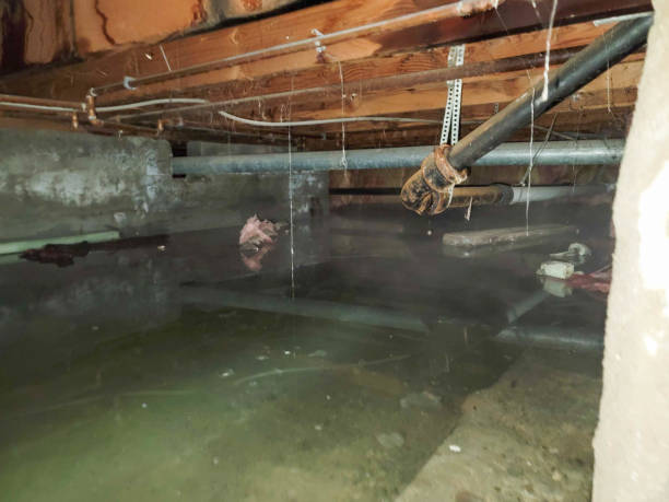 Best Water damage restoration near me  in Lakeview, OR