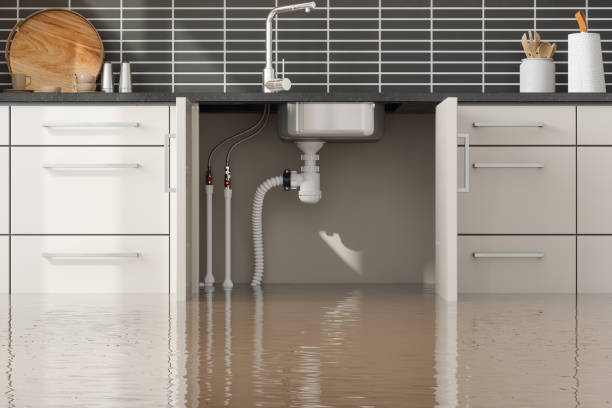  Lakeview, OR Water damage restoration Pros